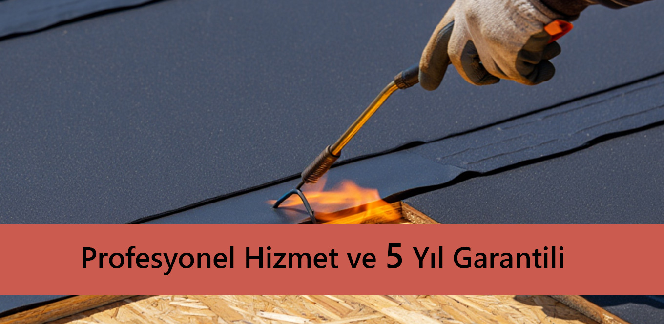 turkiye kargo